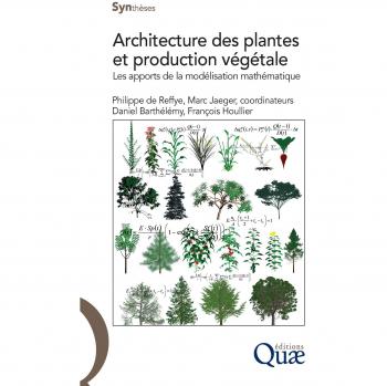 Architecture des plantes et production végétale