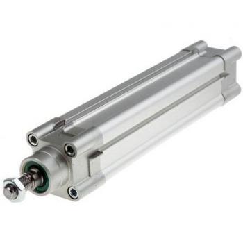 Vérin Pneumatique Double Action RS PRO