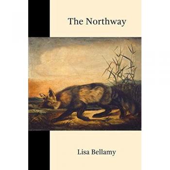 The Northway (Terrapin Poetry)