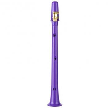 Instrument de Musique Mini Saxophone 11 trous C avec sac 77HC
