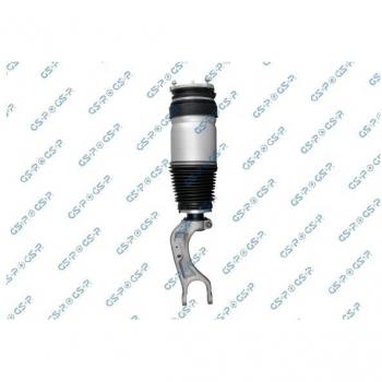 Shock Absorber GSP 30901020