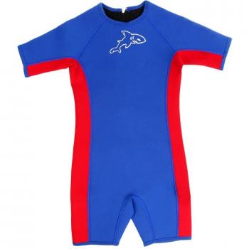Toddler Blue Surfing Wetsuit