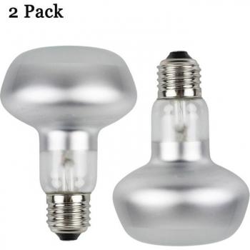 Ampoule UVB 75W, lot de 2, accessoires pour Dragon barbu