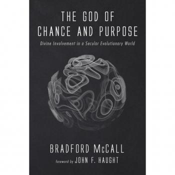Vitalsource Technologies, Inc. The God Of Chance And Purpose