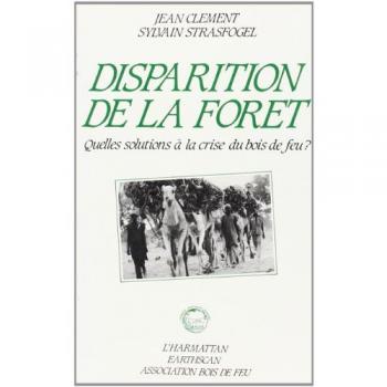 DISPARITION DE LA FORET :  QUELLES SOLUTIONS A LA ...