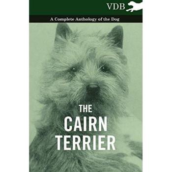 The Cairn Terrier
