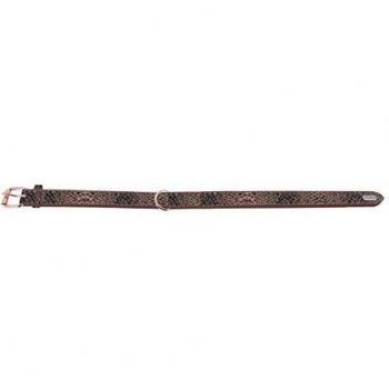 Collier Shiny Phyton T40 – 26 à 32 cm x 15 mm