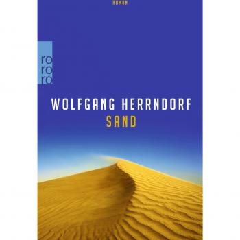 Wolfgang Herrndorf Sand