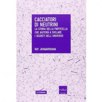 Cacciatori di neutrini. La storia della particella che aiuterà a svelare i segreti dell'universo