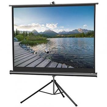 Celexon Portable Projector Screen with Pre-Mounted Stand Mobile Tripod Canvas with Carrying Handle Economy