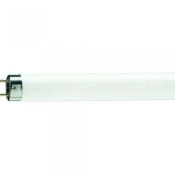 Tubo Fluorescente Philips G13, 25 W