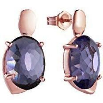 Pendientes de plata de ley Viceroy Jewels