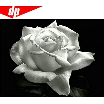 Diamond Petals Home Accent – Round Stone Edition