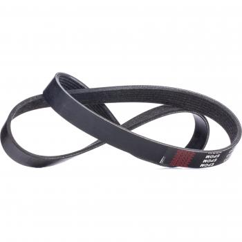RIDEX 305P0383 Courroie Poly-V
