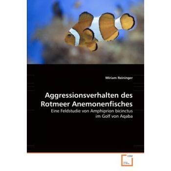 Aggressionsverhalten des Rotmeer Anemonenfisches