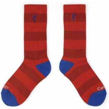 Calcetines con diseño de aguacate y zanahorias para hombre y mujer, 6 pares/lote