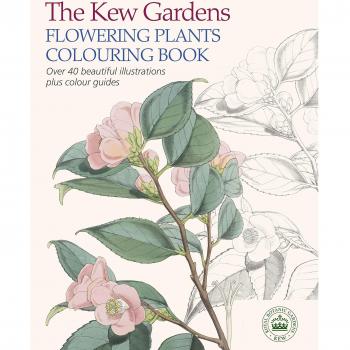 The Kew Gardens Flowering Plants Colouring Book by Arcturus Publishing Book