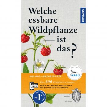 Welche essbare Wildpflanze ist das?