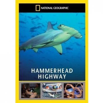 National Geographic: Hammerhead Highway (DVD)