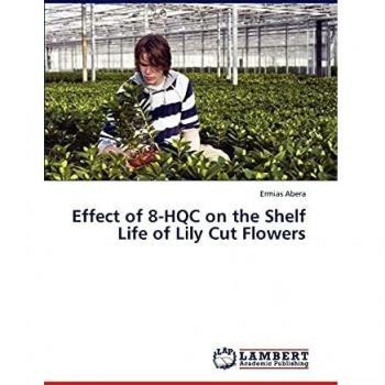 Effect of 8-HQC on the Shelf Life of Lily Cut Flowers