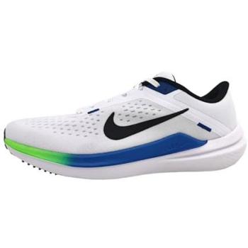 Nike Winflo 10 Sport Shoes