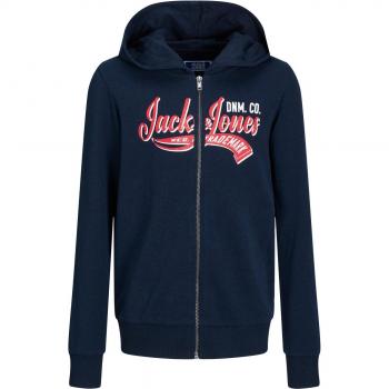 Felpa con cappuccio Jack & Jones per bambini Logo 2 Colore