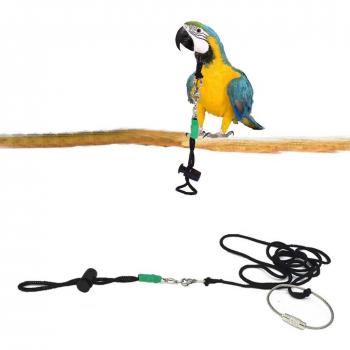 Bird Training Rope Anti Bite Flying