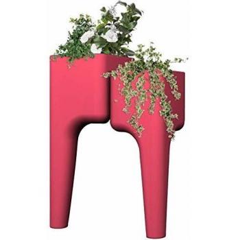 Jardinière Kiga S fraise en polypropylène