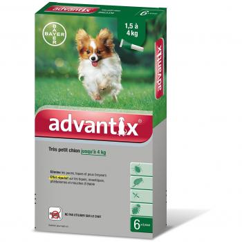 Advantix trÃ¨s petit chien de 1,5 Ã  4kg