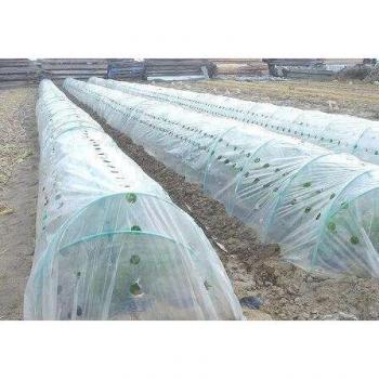 2x10M Garden Flower Greenhouse Film