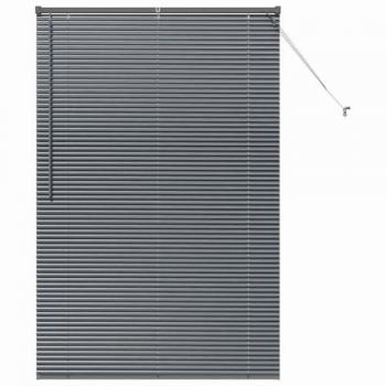 Store Manuel en Aluminium Gris Foncé avec Rideaux