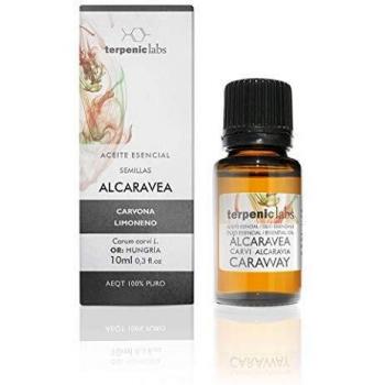 Terpenic Alcaravea 10 ml Duftöl