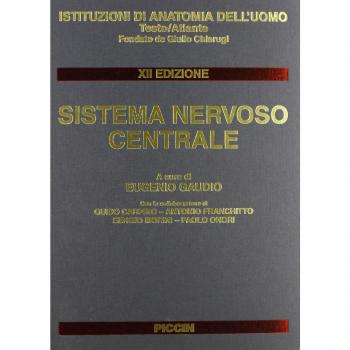 Sistema nervoso centrale