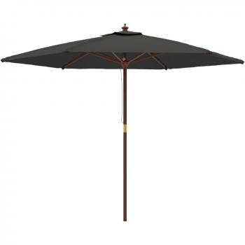 Parasol extérieur en bois 299 x 240 cm anthracite