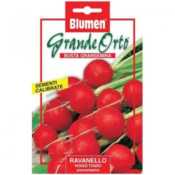 Tondini Ravanello Rosso Precoci