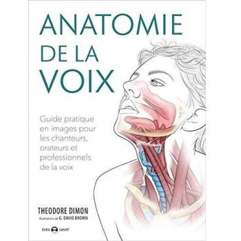 Anatomie de la voix