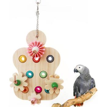 Parrot Training Products