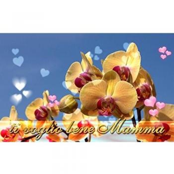 Ostia Mamma Torta Decorativa Cialda