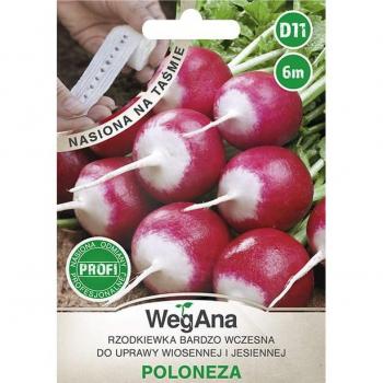 Rábano Polonés 6‑Metros – Kit WegAna