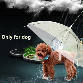 PetShield Transparent Umbrella Kit