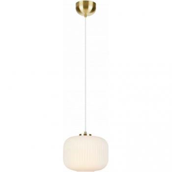 Sober Ceiling Pendant Light in Brushed Brass Finish