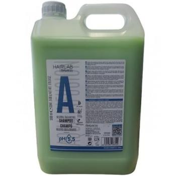 Champú Neutralidad y Equilibrio Salerm 5 Litros