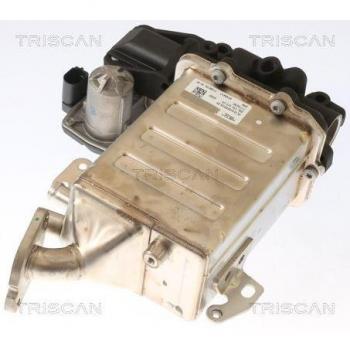 Vanne EGR TRISCAN 8813 29006