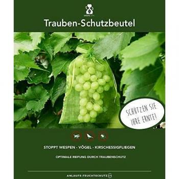 Bolsas Protectores para Frutas, Uvas, 50 unidades, 30x20 cm, Verde