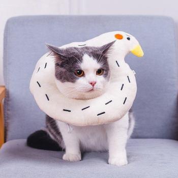 Pet Recovery Collar for Cats