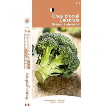 Semences de Chou Brocoli Calabrais