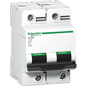 Schneider Electric A9N18413 – Leitungsschutzschalter 80 A, 250 V DC