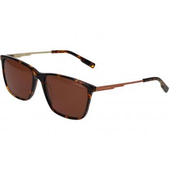 Óculos de Sol Tortoiseshell Masculino Hackett 3349 101P