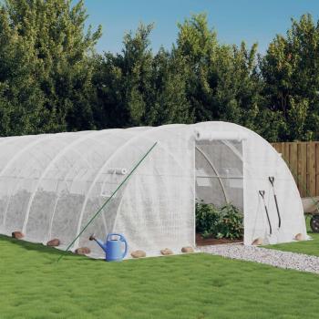 Serre pour Tomates VidaXL 18×4×2 m, Cadre Acier Blanc
