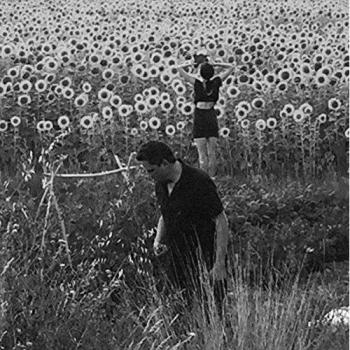 Jesu/Sun Kil Moon [Vinyl LP]